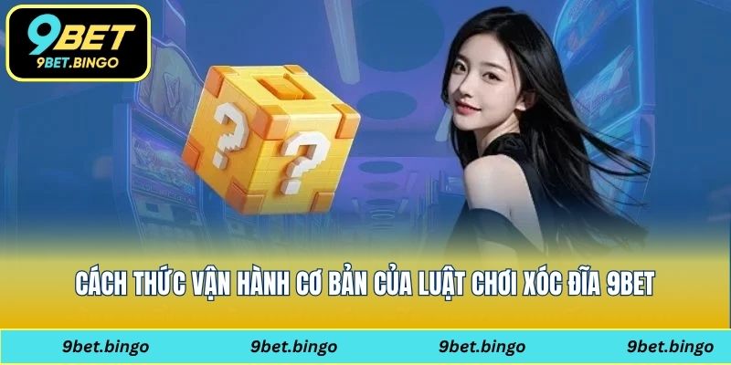 Cách thức vận hành cơ bản của luật chơi xóc đĩa 9bet